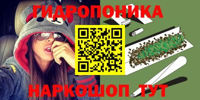 винт Новозыбков