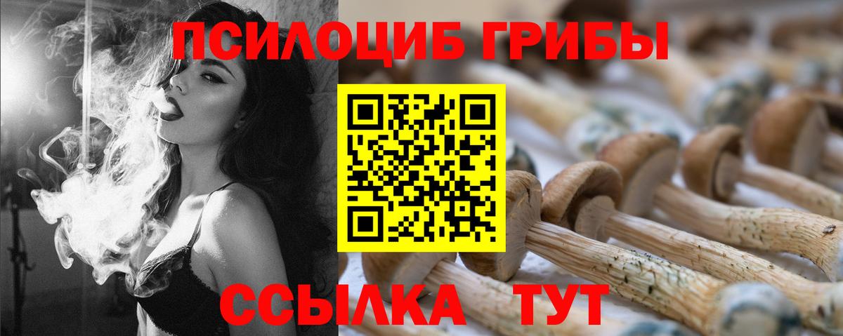 Галлюциногенные грибы Psilocybe Строитель