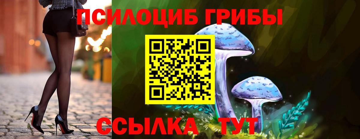 Строитель  Псилоцибиновые грибы Magic Shrooms  Вход с VPN 